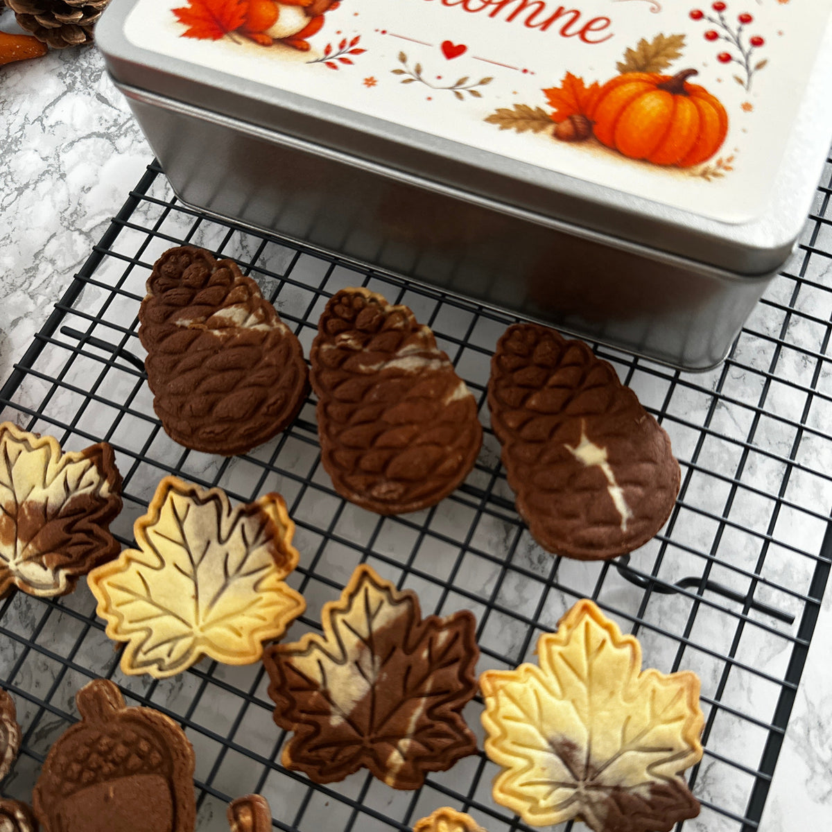 Kit emporte-pièces automnal biscuits d'automne