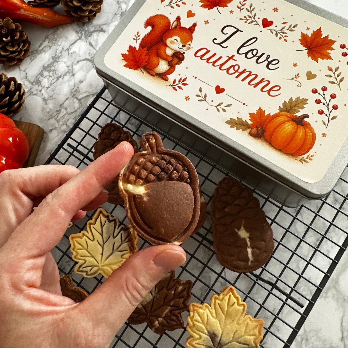 Kit emporte-pièces automnal biscuits d'automne