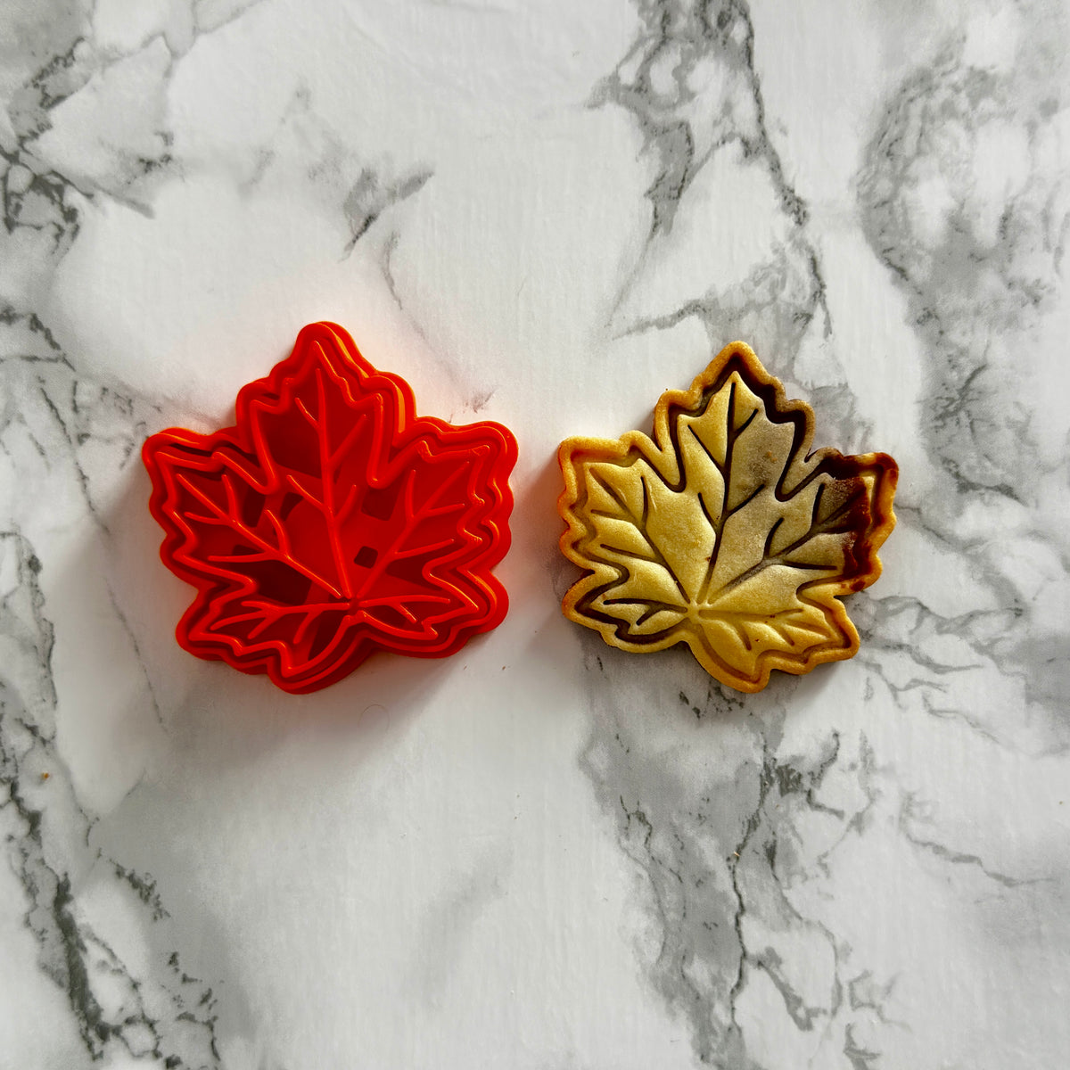 Kit emporte-pièces automnal biscuits d'automne