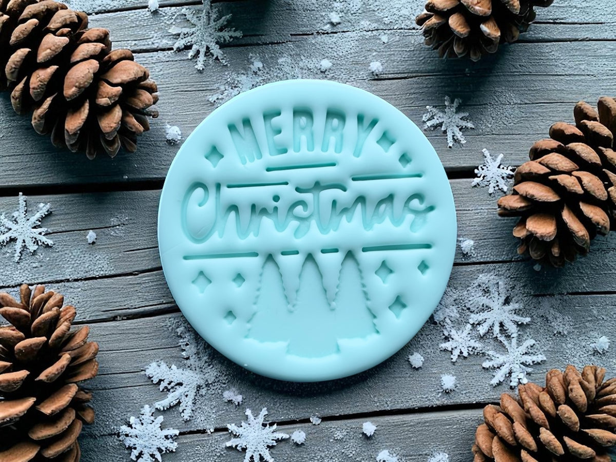 Emporte-pièce de noël biscuits pour fête de noël cadeau famille